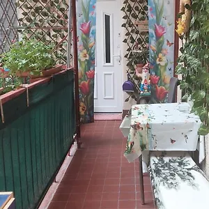 Konukevi Valentina, Budapeşte